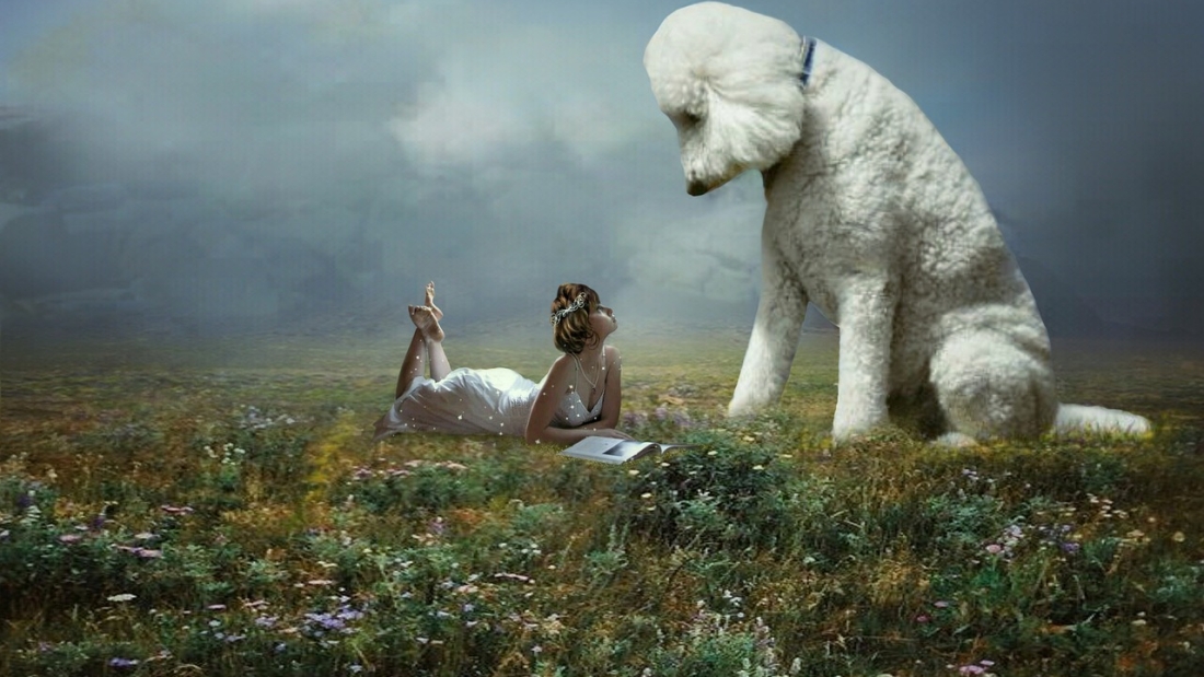 Syarat dan Prosedur Terbaru untuk Visa Kepulauan Mentawai