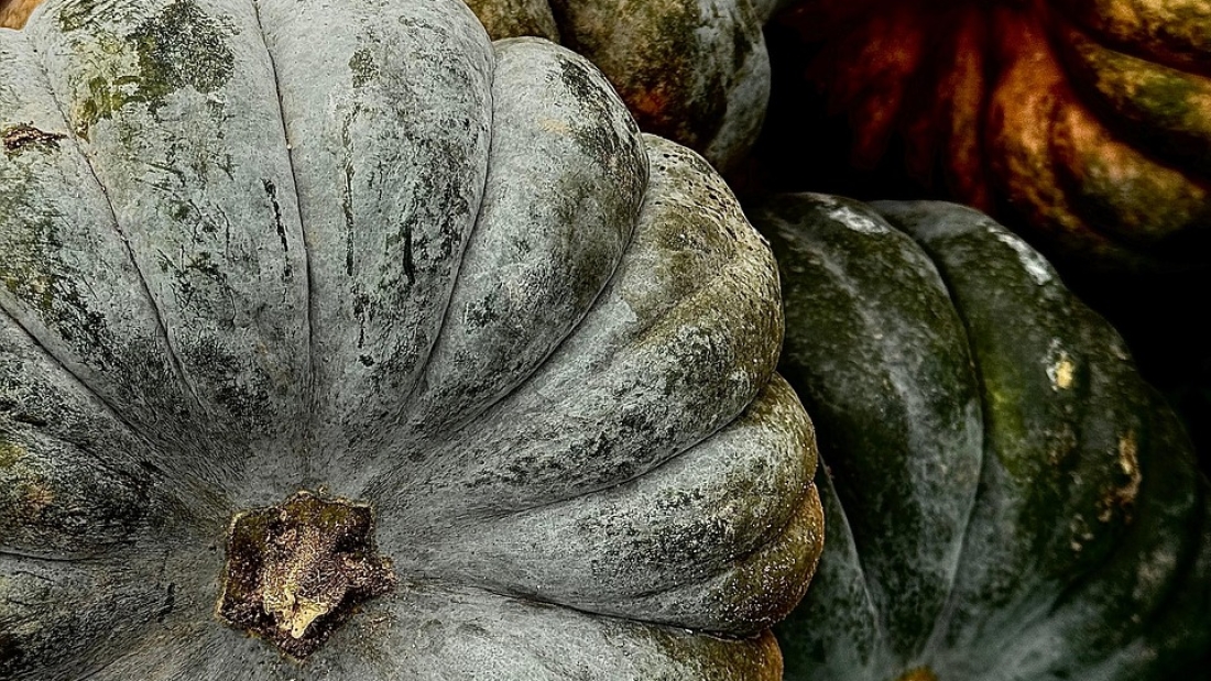 Kesalahan Umum dalam Permohonan Visa Kepulauan Mentawai