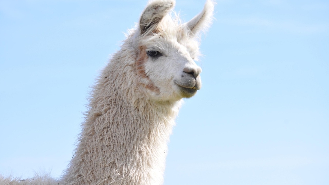 Pencegahan Perdagangan Orang di Kepulauan Mentawai